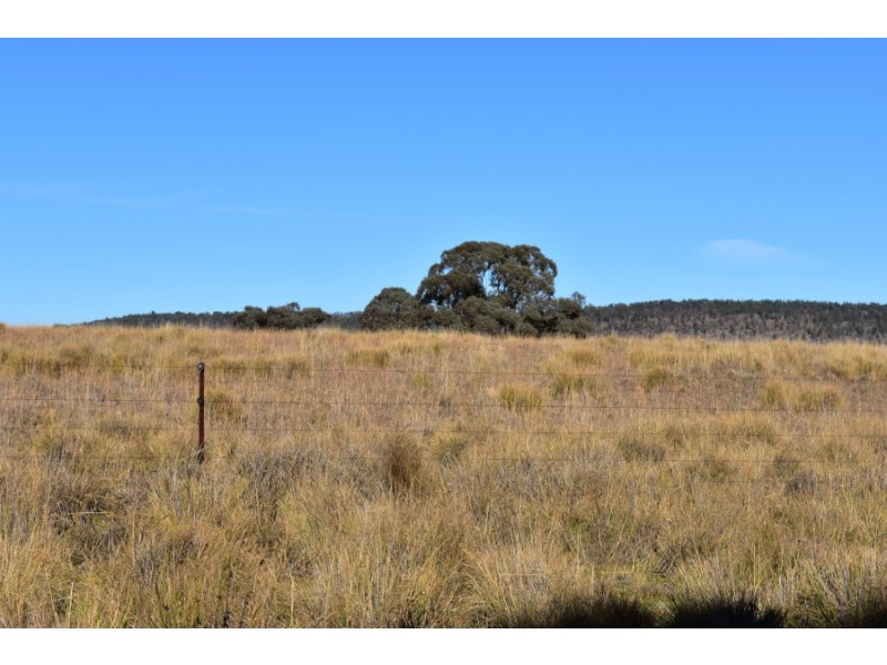 7723 Henry Parkes Way, Parkes NSW 2870