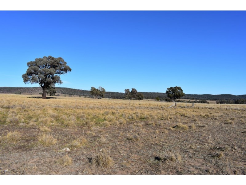 7723 Henry Parkes Way, Parkes NSW 2870