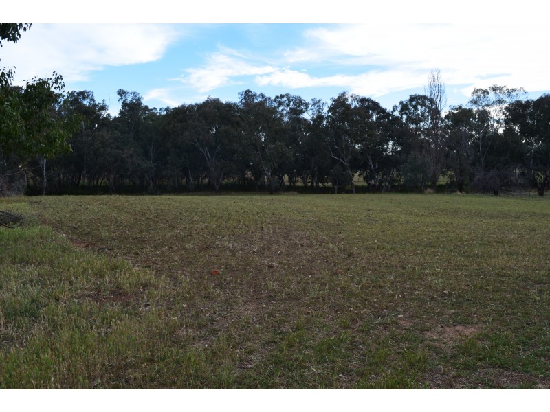 55 Terrill Road, Parkes NSW 2870