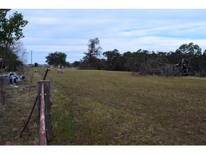 55 Terrill Road, Parkes NSW 2870