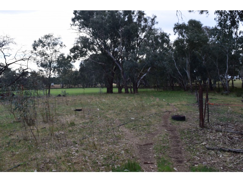 55 Terrill Road, Parkes NSW 2870