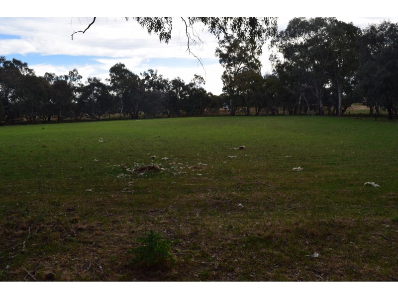 55 Terrill Road, Parkes NSW 2870