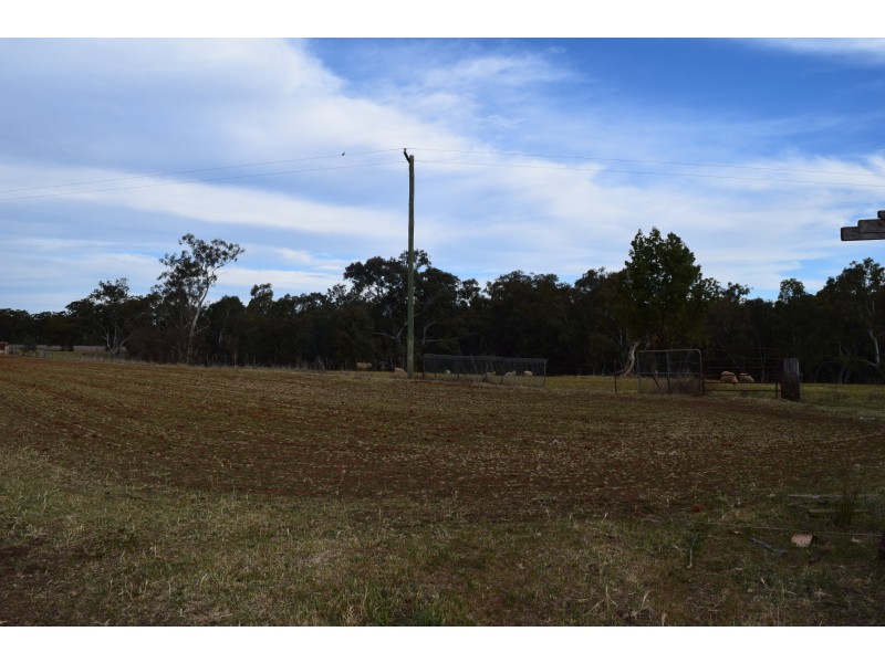 55 Terrill Road, Parkes NSW 2870
