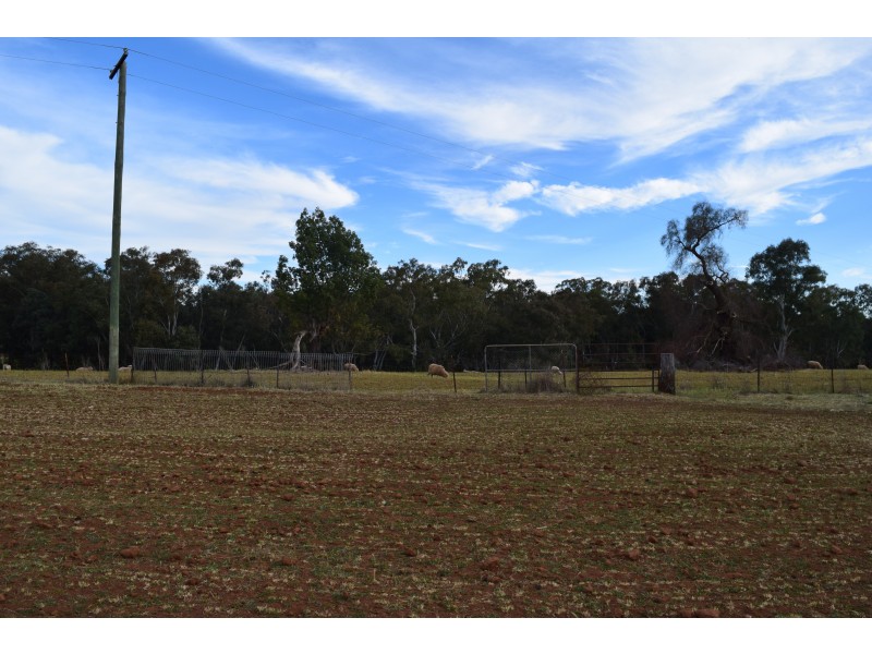 55 Terrill Road, Parkes NSW 2870