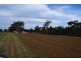 55 Terrill Road, Parkes NSW 2870