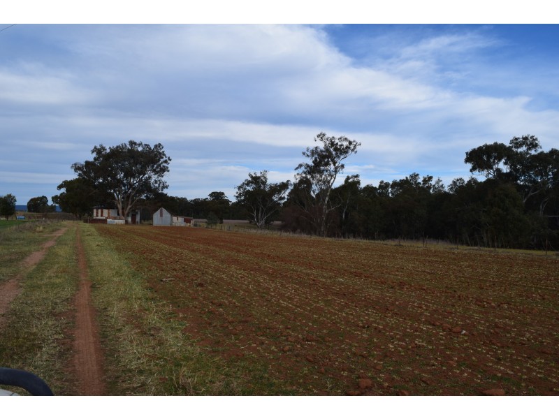 55 Terrill Road, Parkes NSW 2870