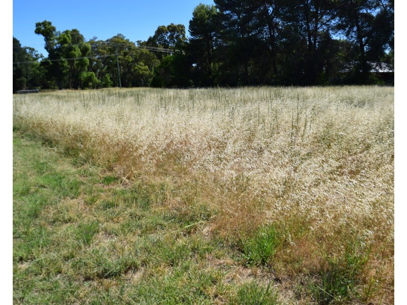 54 Kelly Road, Parkes NSW 2870