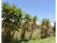 24 Armstrong Street, Parkes NSW 2870