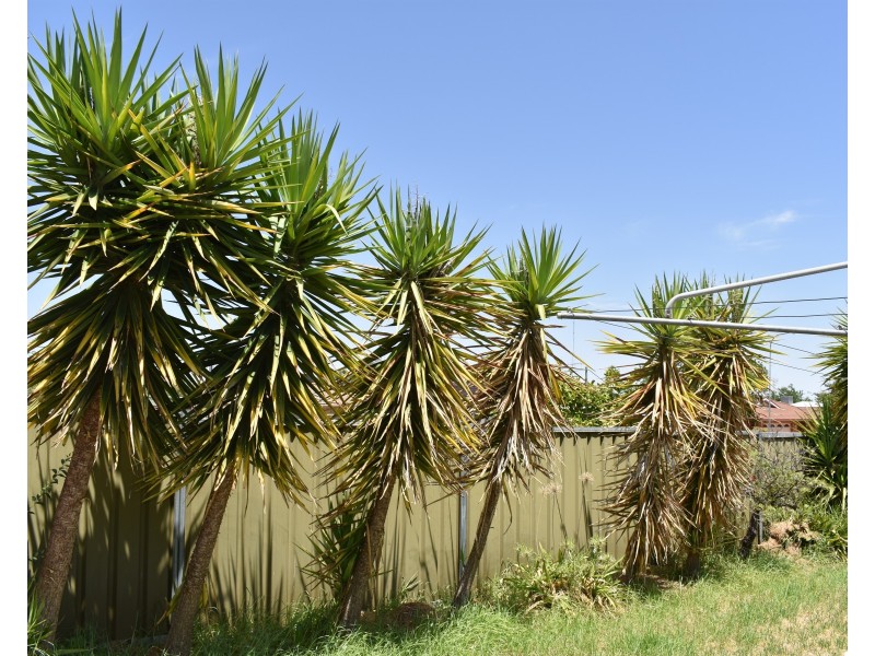 24 Armstrong Street, Parkes NSW 2870