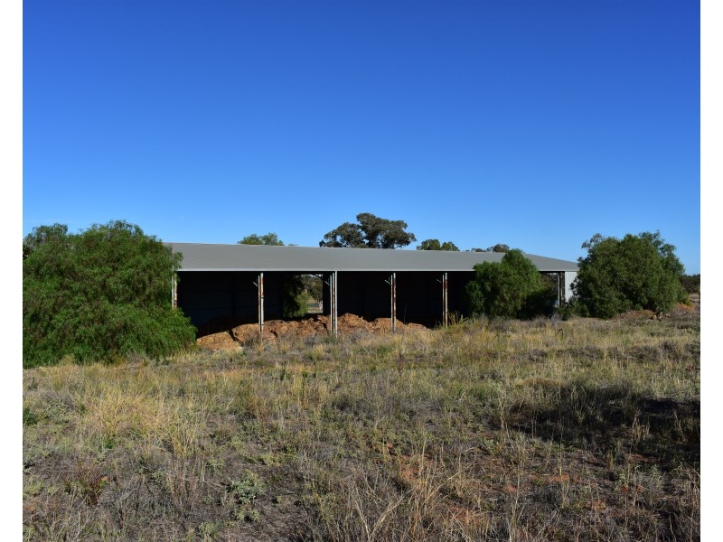Lot 415 Newell Highway, Trewilga NSW 2869