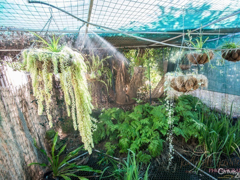 47 Iris Street, Gilgandra NSW 2827