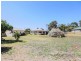 144 Warren Road, Gilgandra NSW 2827