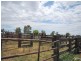 250 Simmons Road, Gilgandra NSW 2827