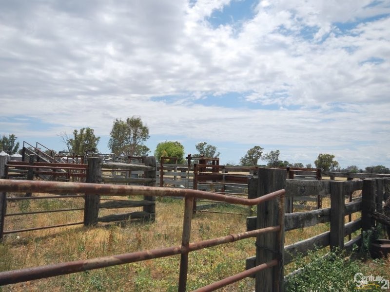 250 Simmons Road, Gilgandra NSW 2827