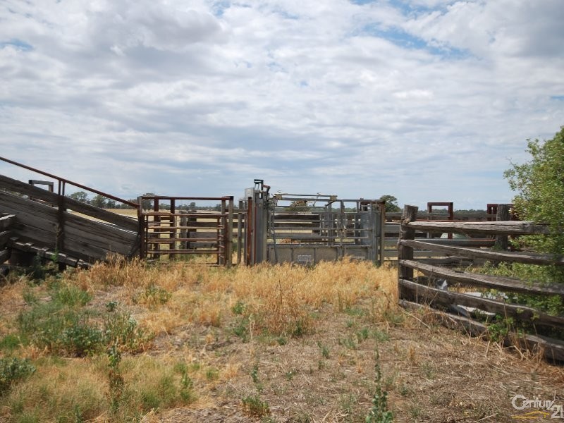 250 Simmons Road, Gilgandra NSW 2827