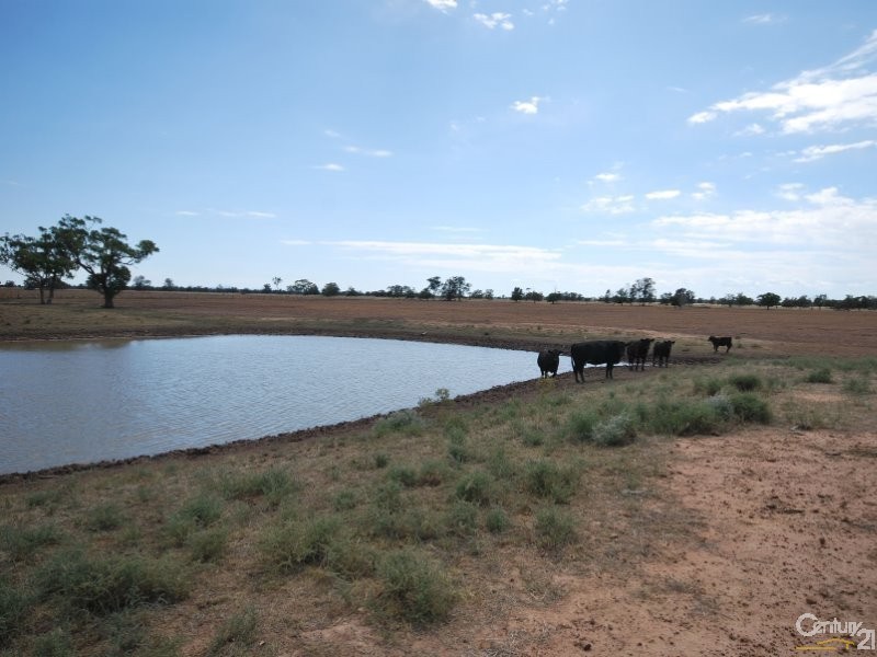 250 Simmons Road, Gilgandra NSW 2827