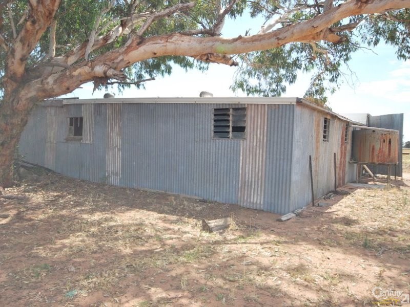 250 Simmons Road, Gilgandra NSW 2827