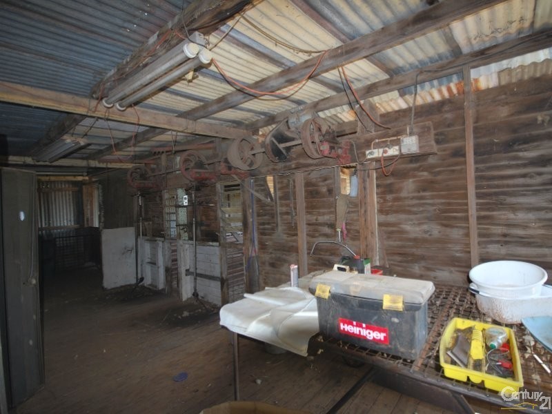 250 Simmons Road, Gilgandra NSW 2827