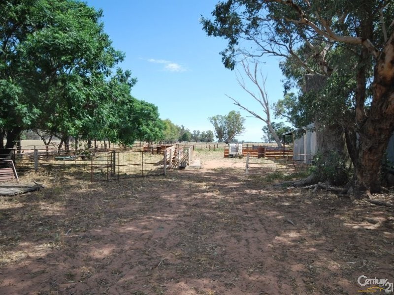 250 Simmons Road, Gilgandra NSW 2827