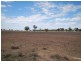 250 Simmons Road, Gilgandra NSW 2827