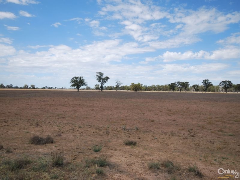 250 Simmons Road, Gilgandra NSW 2827