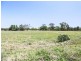 52 Lower Castlereagh Street, Gilgandra NSW 2827