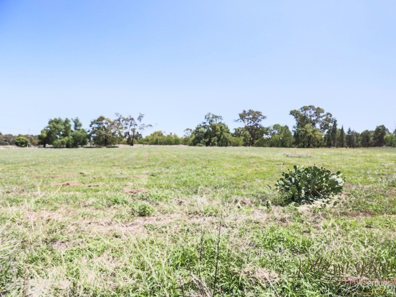 52 Lower Castlereagh Street, Gilgandra NSW 2827