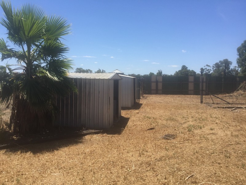 46 Armitree Street, Gulargambone NSW 2828