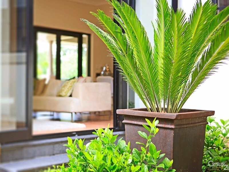 14 Montreal Ave, Killara NSW 2071