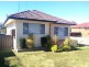 125 Priam Street, Chester Hill NSW 2162