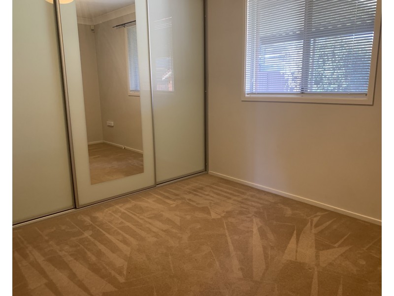 99 Oak Drive, Georges Hall NSW 2198