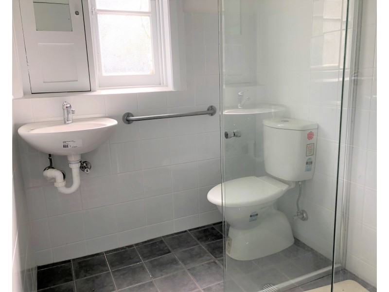 39 Louis Terrace, Hurstville NSW 2220