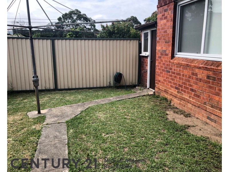 17 Kingsgrove Avenue, Kingsgrove NSW 2208