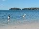 Salamander Bay NSW 2317