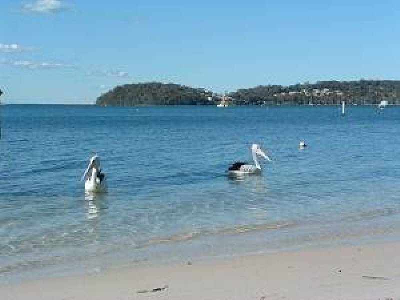 Salamander Bay NSW 2317