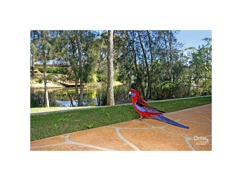 9 Boeing Avenue, Lake Conjola NSW 2539