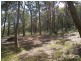 Morisset NSW 2264