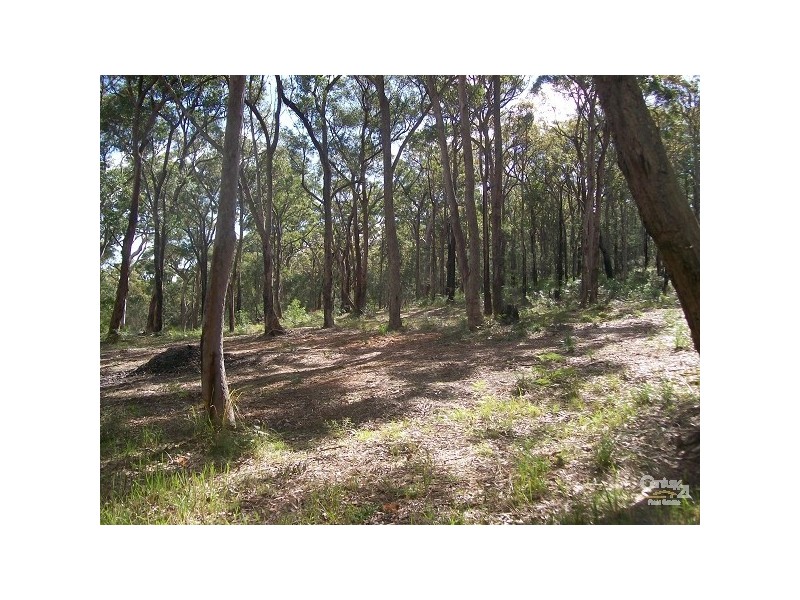 Morisset NSW 2264