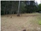 60 Stingaree Point Drive, Dora Creek NSW 2264