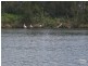 168 Dora Street, Dora Creek NSW 2264