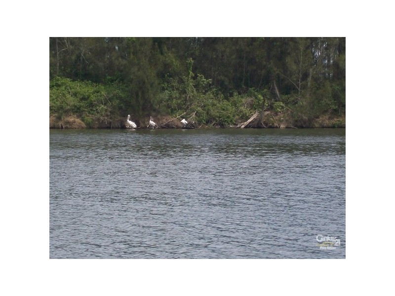 168 Dora Street, Dora Creek NSW 2264