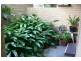 4/49 Norton St, Ballina NSW 2478