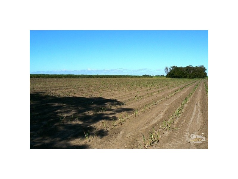 10 MOYLANS LANE, Empire Vale NSW 2478