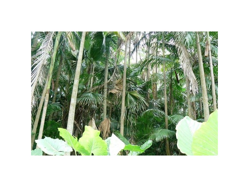 East Wardell NSW 2477