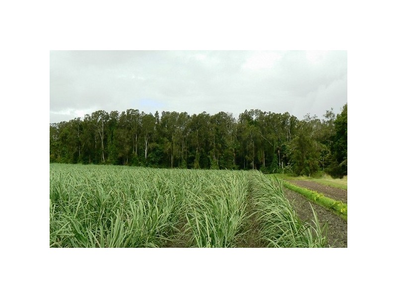 East Wardell NSW 2477