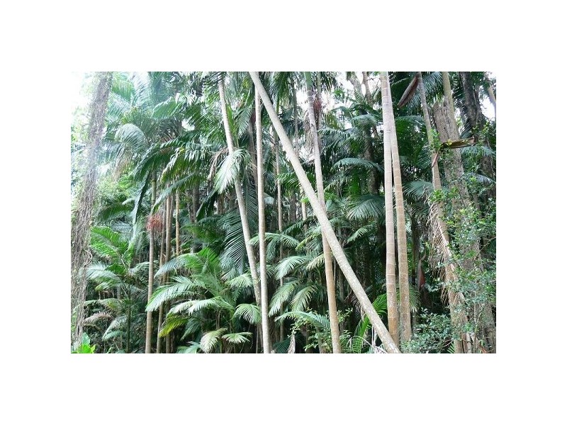 East Wardell NSW 2477