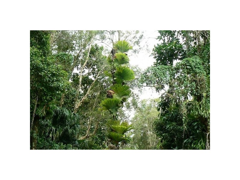 East Wardell NSW 2477