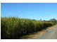 10 PATCHS BEACH ROAD, Patchs Beach NSW 2478