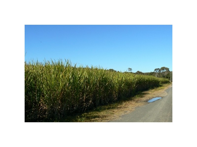 10 PATCHS BEACH ROAD, Patchs Beach NSW 2478