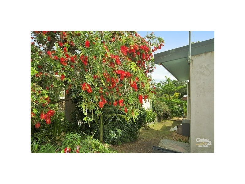 10 Hills Road, Rileys Hill NSW 2472